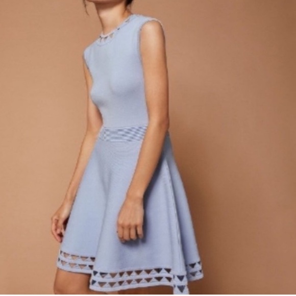 Ted Baker London Dresses & Skirts - Ted Baker London Kathryn Dusty Blue Cutout Skater Dress